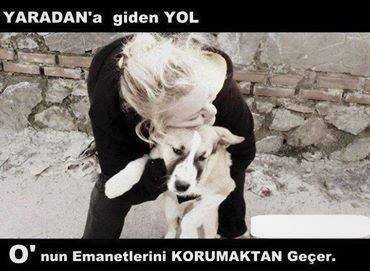 Bi Parça Gökyüzü