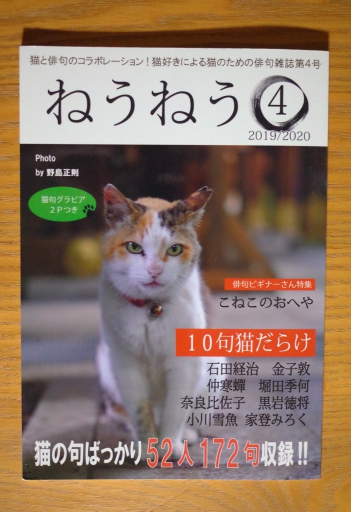 Coffee Days 先日 待望の猫句集 ねうねう Vol 4が我が家に届きました 表紙の猫ちゃんの可愛さよ Coffee Days 先日 待望の猫句集 ねうねう Vol 4が我が家に届きました 表紙の猫ちゃんの可愛さよ