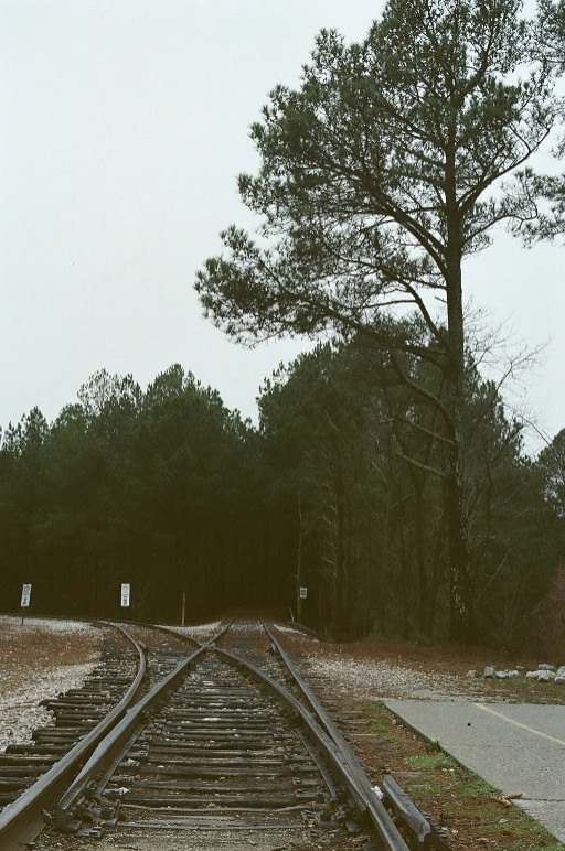 daiwenjie:  On top of Stone Mountain, which I found out is aprivate reserve, who