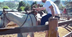 failsnet:  Tumblr Fails.net - Im a Cowboy