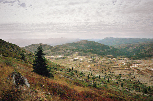 owakolf:  Nature Blog 