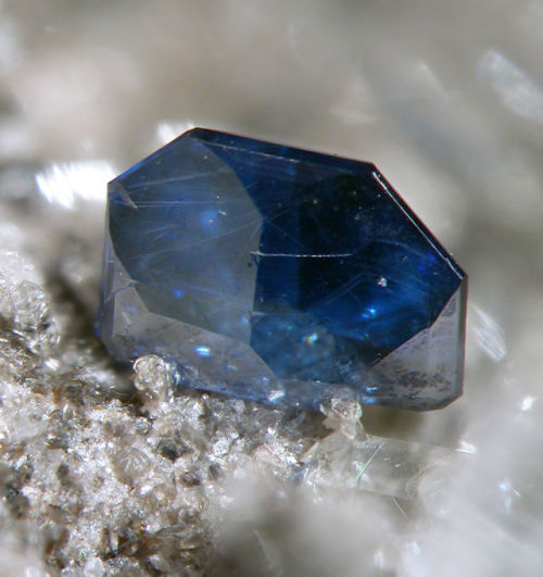 ifuckingloveminerals:  Anatase, Rutile Tan-y-grisiau, Blaenau Ffestiniog, Wales 