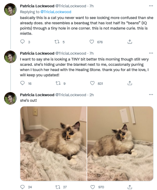 officiallordvetinari:nudityandnerdery:Been a rough couple days for one of our favorite cats, send Mi