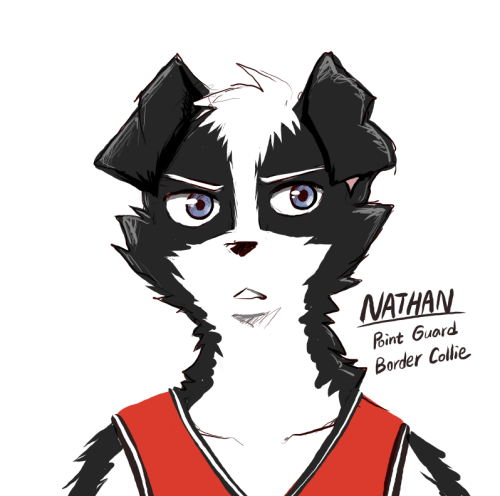 Doodle - The Rest of the Basketball team (I) Name: NathanBreed: Border ColliePosition: Point GuardUn