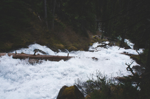 olympusatnoon: Exploring Joffre Lake