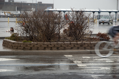 taylerraedube:  Red Hook Crit, 2014 It was a rainy mess