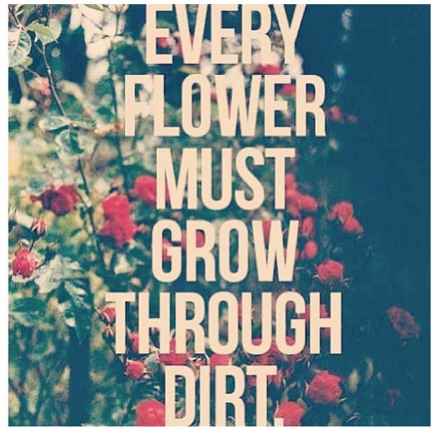 There’s a reason I’m obsessed with flowers people! 😘🌷🌹🌻🌺🌼 #growth #movingonup #struggles #lifequotes #liveandlearn