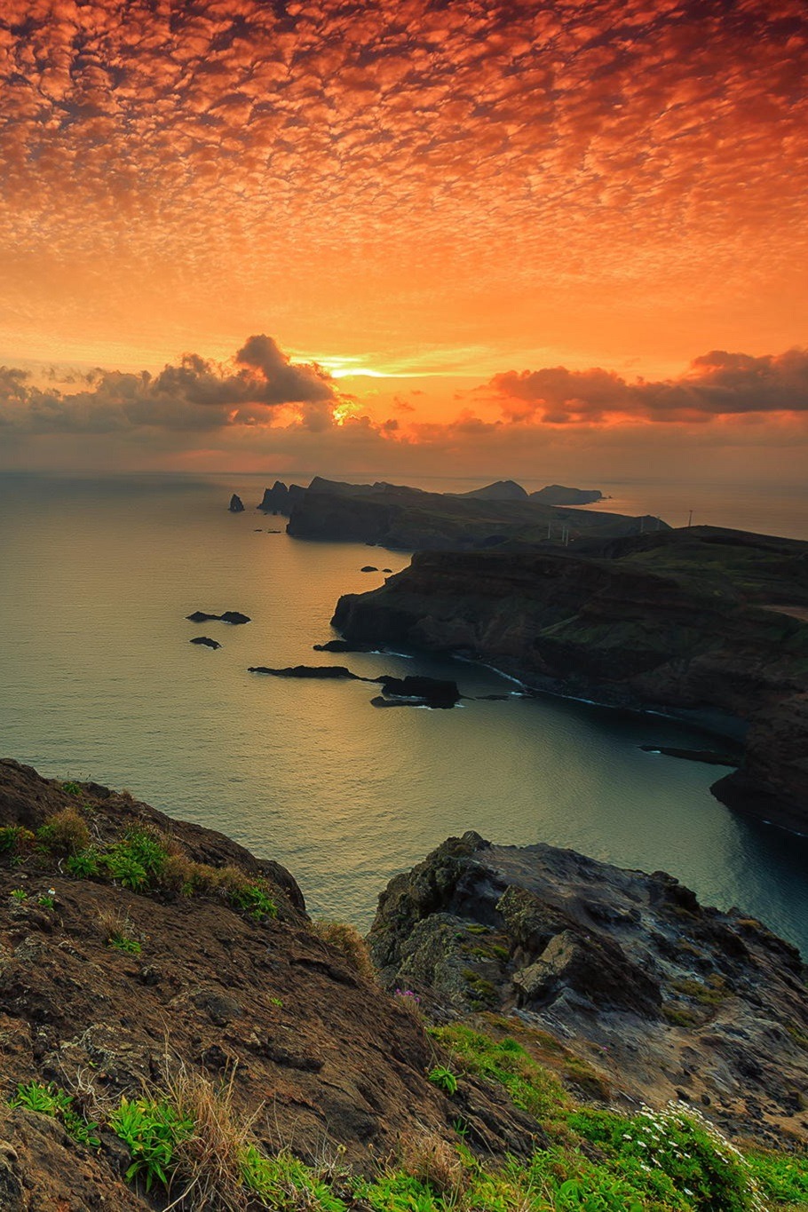 hellogreyworld:     Madeira Island, PortugalFrancisco Gonçalves  