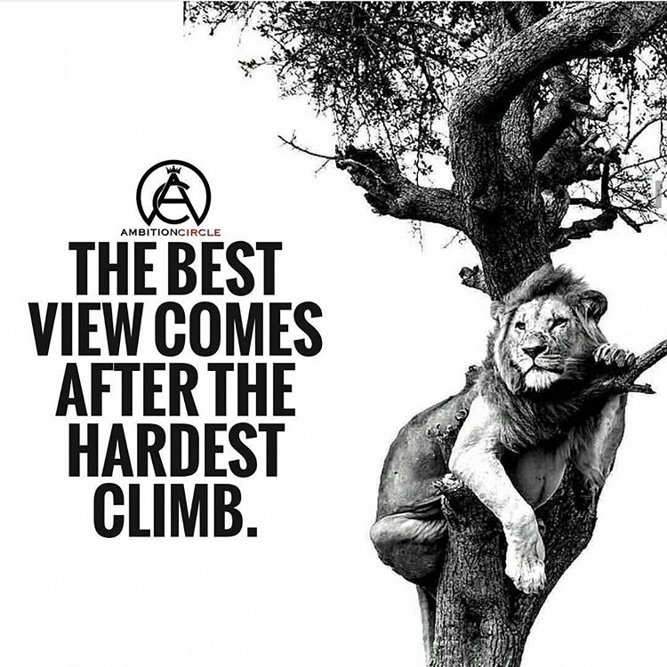 MAN OF QUOTES on Tumblr: #manofquotes #motivation #millionaires #quotes  #life #inspirational #instagood #ambitions #love #gym ▭▭▭▭▭▭▭▭▭▭▭▭▭▭▭  Follow...