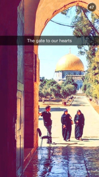 pxlestine:On [ West Bank Live ] @Snapchat the apartheid wall and the burnt Palestinian farmlands and