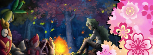tumblr photo paradoxalteddybear 6