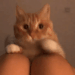 sarhoskedi:
