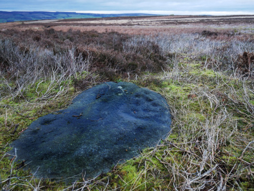 ‘Second Idol’ Bronze Age Rock Art, Ilkley Moor, Yorkshire, 24.12.17.A new site for me; this stone ha