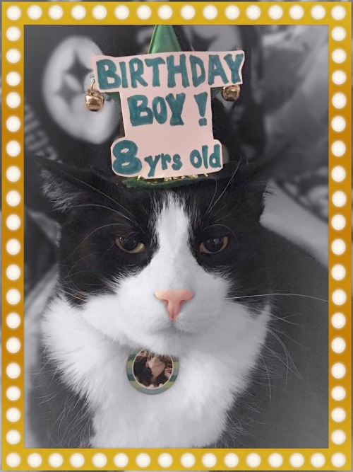 Photo creds to my Mom, and a Happy Birthday (or estimated birthday), to my favorite Tuxedo. He&r