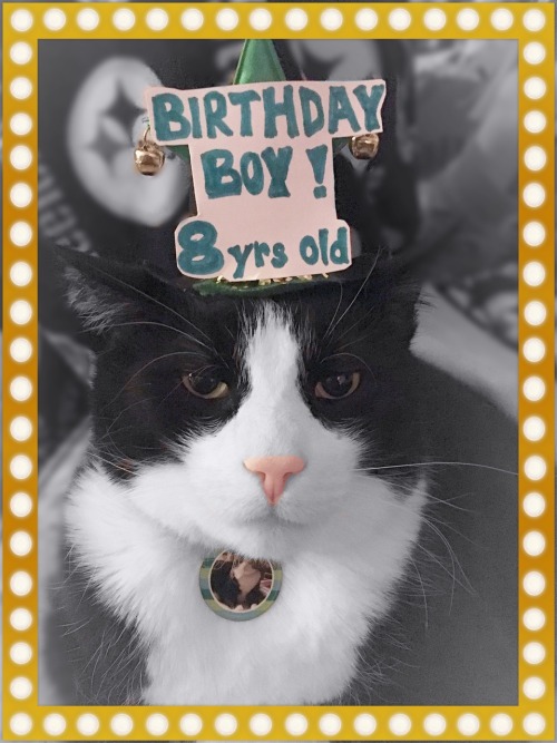 Photo creds to my Mom, and a Happy Birthday (or estimated birthday), to my favorite Tuxedo. He&rsquo