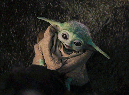 dobrien: Make Me Choose Challenge └ @theirdarkmaterials asked: Pantalaimon or Baby Yoda?“Bone 