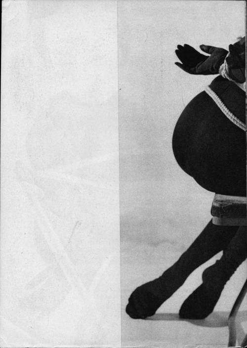 Porn photo sowhatifiliveinjapan:   裏窓 (1962年10月)