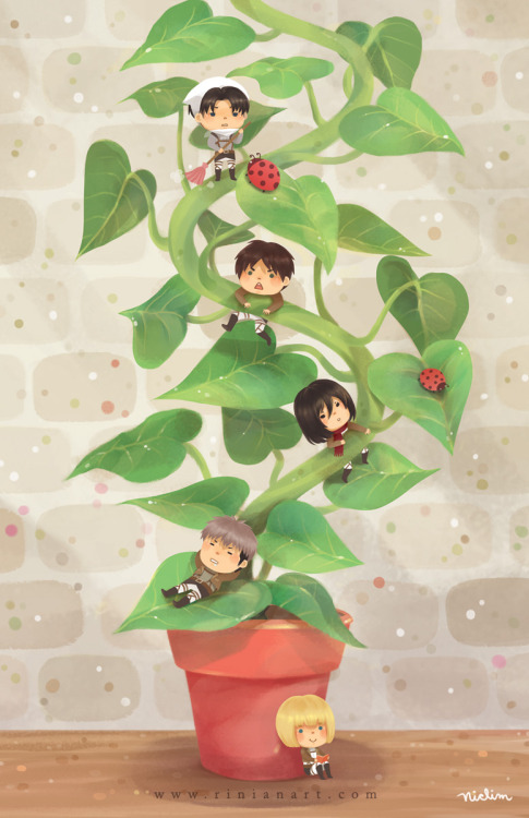 Attack on Beanstalk