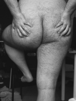 bearso:  More bears?,Follow me! ↘BEARSO!