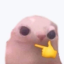 mokotoro