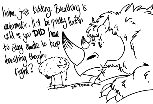 A problem I’ve been having lately.