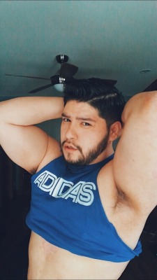 sergethecurious:  When your tanks want to be crop tops because they know thot season is upon us. #ButchLittleBear