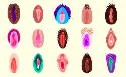 plannedparenthood:  Let’s make vulva emojis