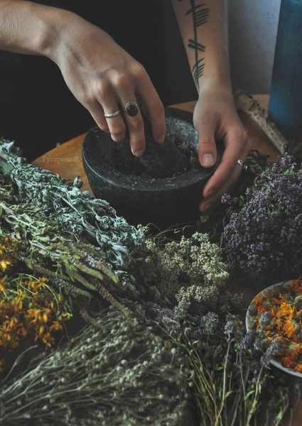 fericirelaplic:  Green Witch
