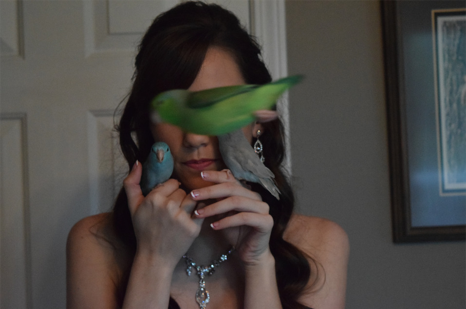 pepperandpals:  thepacificparrotlet:   Roxy decided that she needed to be in the