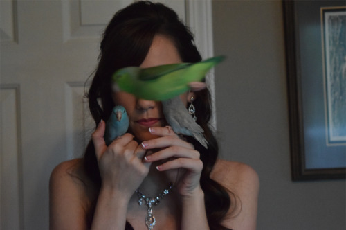 masterkfox:pepperandpals:thepacificparrotlet:Roxy decided that she needed to be in the photoThis mak