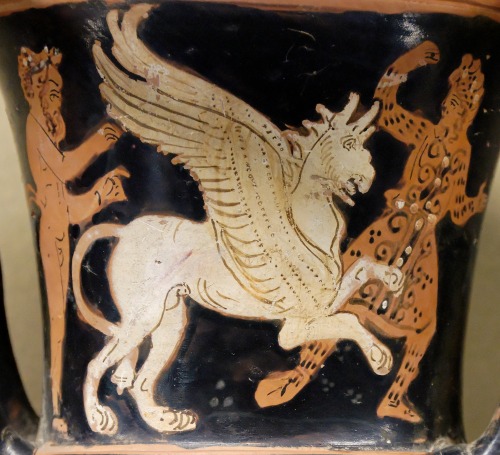 A scene from Scythia: A satyr and a griffin encounter one of the Arimaspi.  Attic red-figure ca