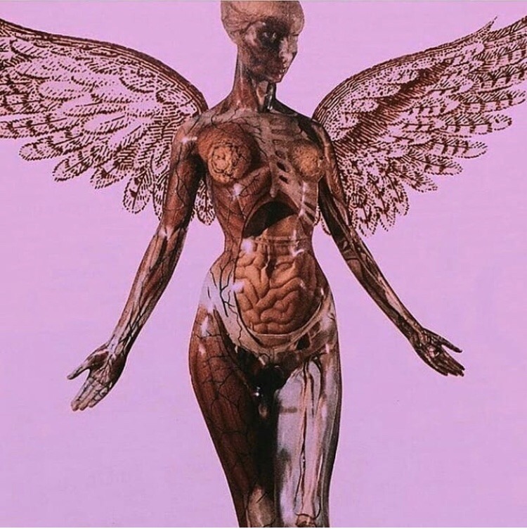 scorpiogy:  