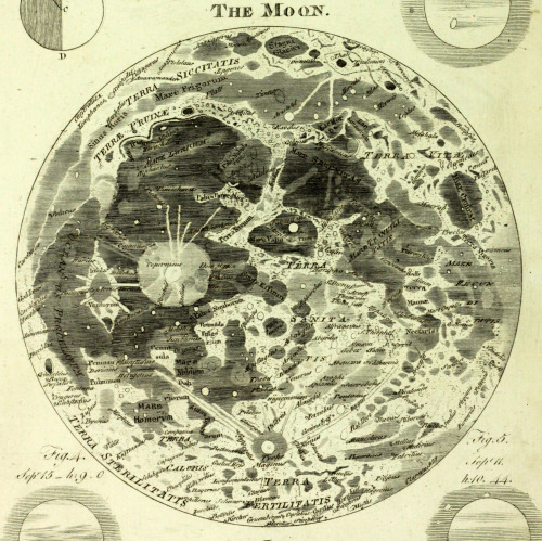 michaelmoonsbookshop:The Moon; published in 1778 the details quote observations from 1773Plate XLII 