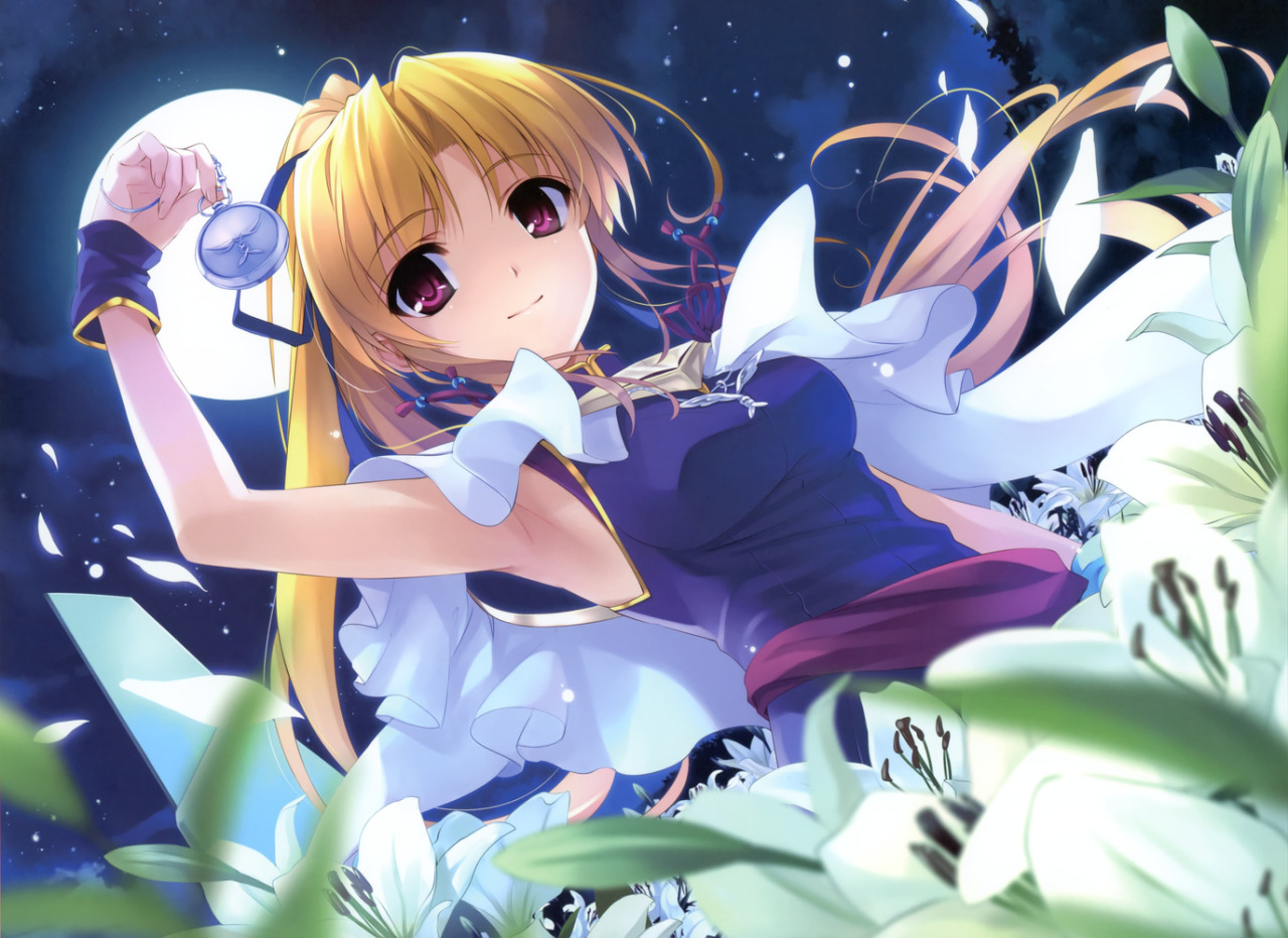 金髪銀髪少女図鑑