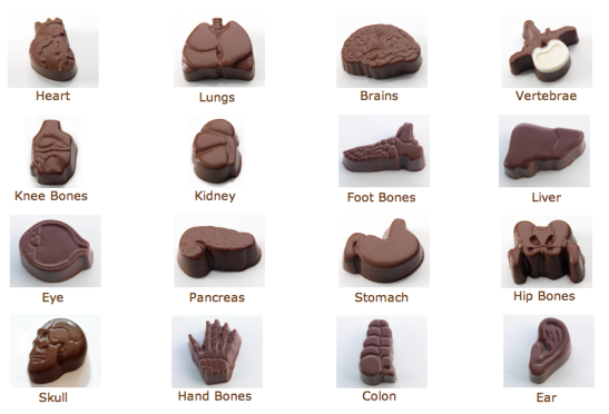 helenofdestroy:  box set of chocolate anatomy, $30.95 at visual anatomy limited