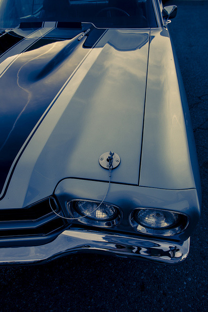 shirokami-85:  454 SS by Greg David on Flickr. 