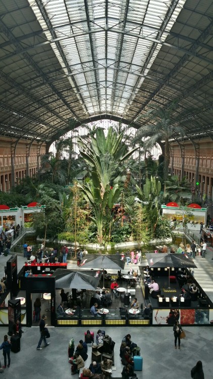 The train station of Atocha -Madrid -Spain.This is the waiting hall, also known as the turtle pond o