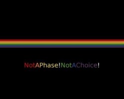 lgbtgivesmehope:  [Image shows a black background with a small rainbow and the text, ‘NotAPhase!NotAChoice!] 