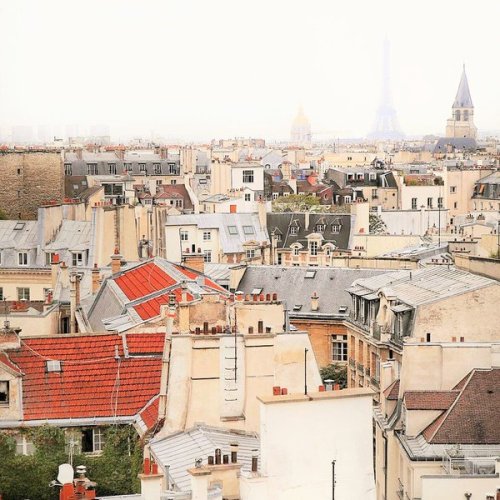 lilyadoreparis: Toits de Paris. Paris rooftops by Lily Rose.