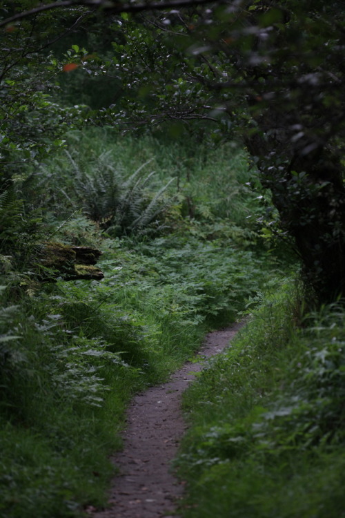 naturalxcauses:visit my page for more nature