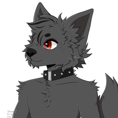 Finished Character Design For Someone!