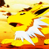 ap-pokemon:#135 Jolteon - When angered or frightened, the hairs on Jolteon’s body become like needle