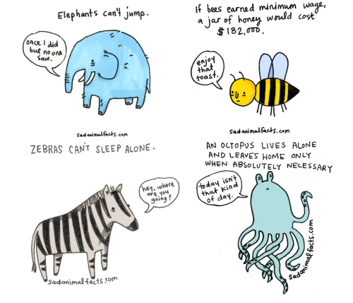 sad animal facts :’)