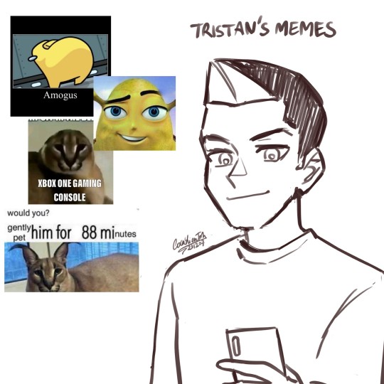 Tumblr media