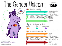 transstudent:  Introducing The Gender Unicorn!