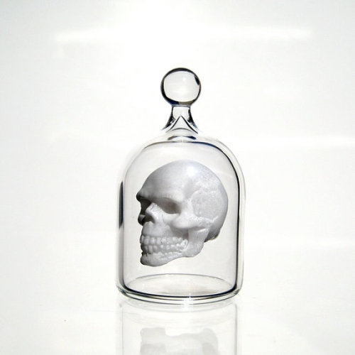 myampgoesto11: Hand blown glass miniature “Anatomy in a Jar” series by Kiva Ford Ki