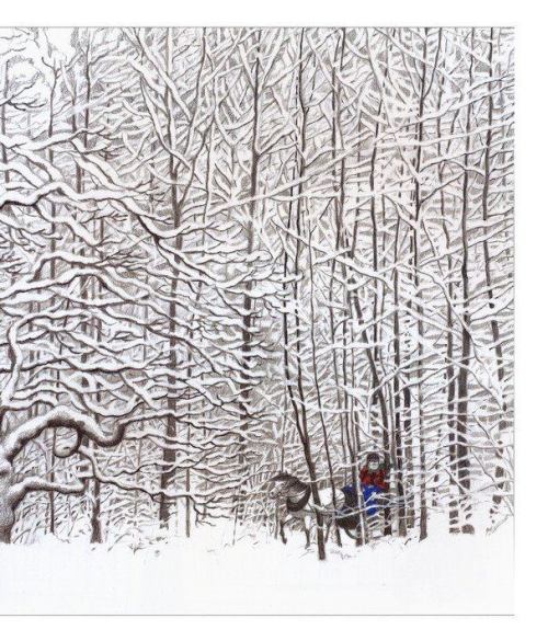 womansart: Stopping By Woods on a Snowy Evening by Robert Frost Illustrated by Susan Jeffers, 1978