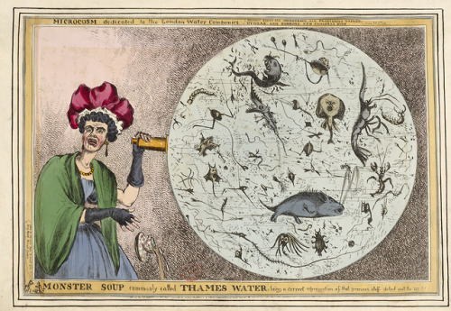 A satire on the Metropolitan Water Supply (c. 1828), by WilliamHeath.  “Monster soup commonly called