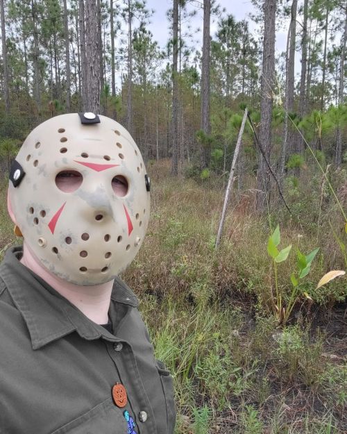 Feeling cute might kill some campers later IDK.  Happy Halloween everyone! Work has been crazy but i