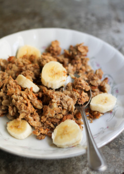 fattributes:  Peanut Butter Banana Baked